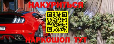стаф Чебаркуль