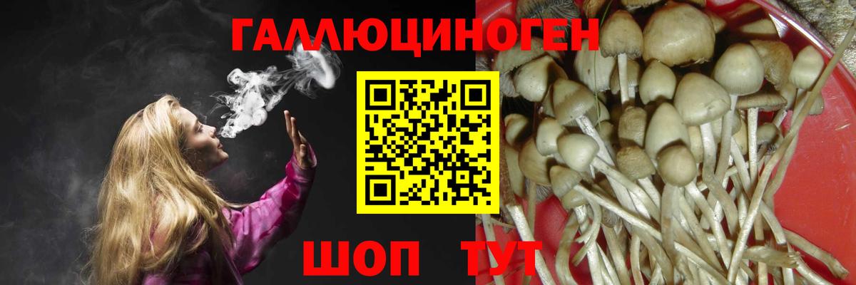 Галлюциногенные грибы прущие грибы  Галлюциногенные грибы GOLDEN TEACHER  Новотроицк  Вход с VPN 